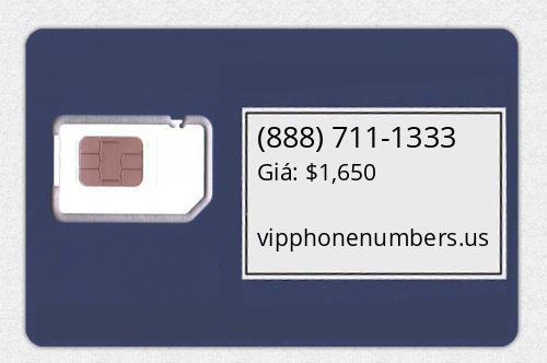 (888) 711-1333